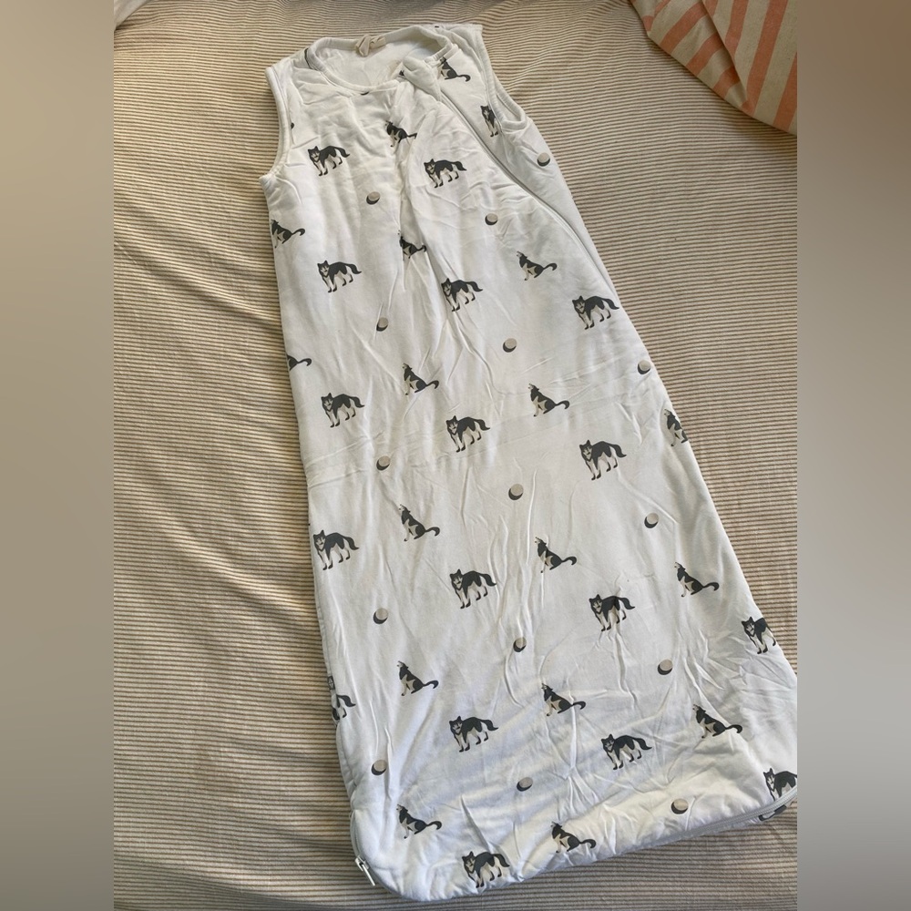 Kyte Baby Sleep Bag